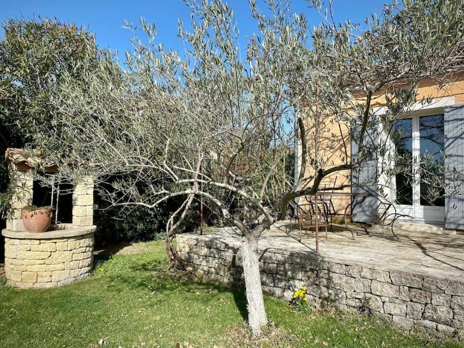 Belle Maison Provencale Au Pied Du Mont Ventoux Caromb Exterior photo